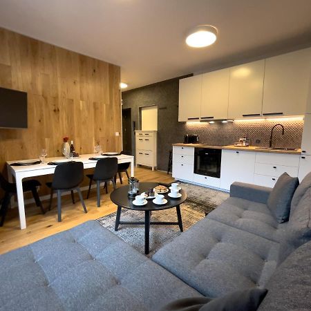 Urban Apartments Premium No 3, Free Private Parking, Self Check-In Chorzów Exteriör bild